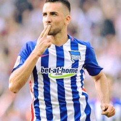 Image: Vedad Ibisevic