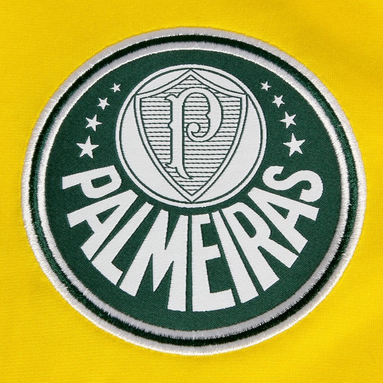 Palmeiras 13 14 Third Kit Crest 1