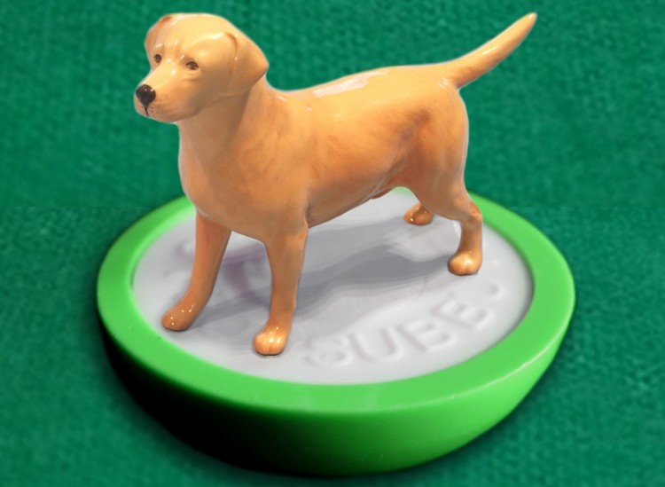Triggs subbuteo