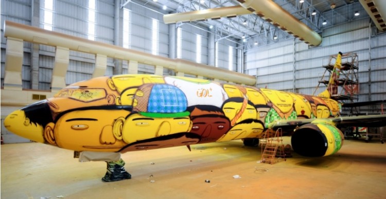 brazil plane 7