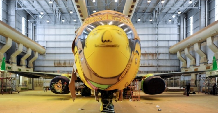 brazil plane