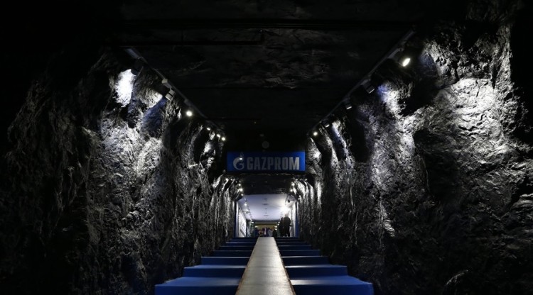 schalke 6